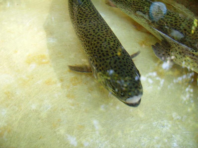 PICT6298.JPG