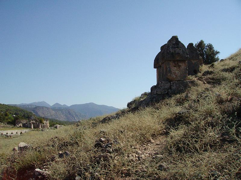 PICT6310.JPG