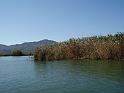 PICT6178