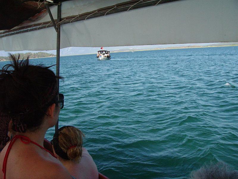 PICT6195.JPG