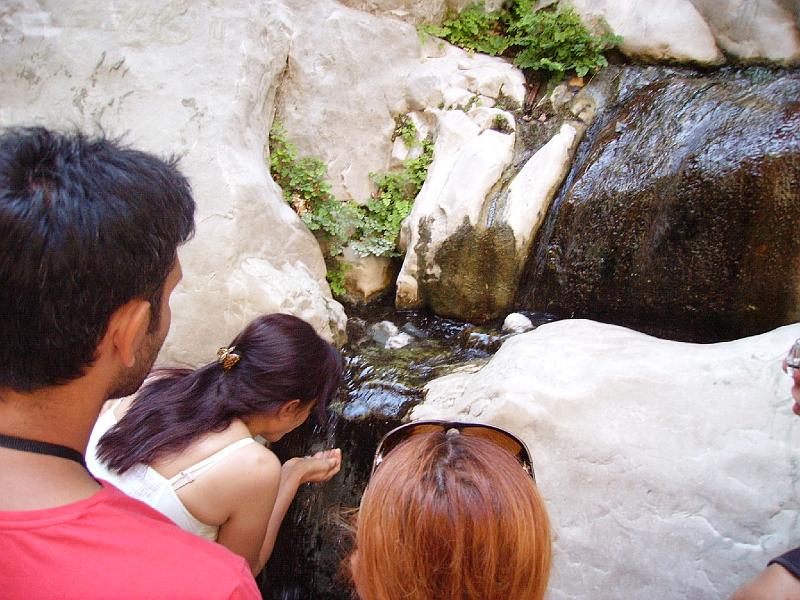 PICT6291.JPG