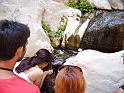PICT6291